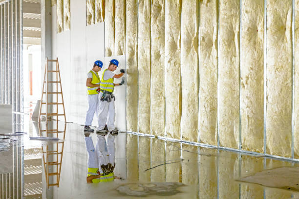 Best Insulation Installation Services in Shallowater, TX